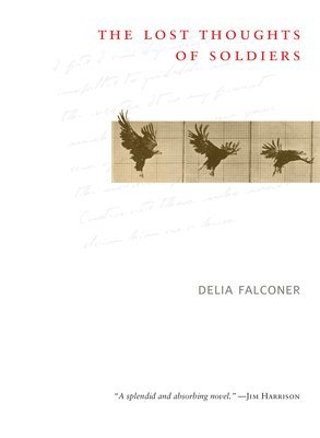 Delia Falconer - The Lost Thoughts of Soldiers, Häftad