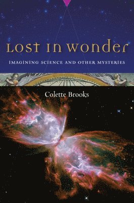 Lost in Wonder 1