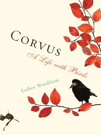 bokomslag Corvus: A Life with Birds