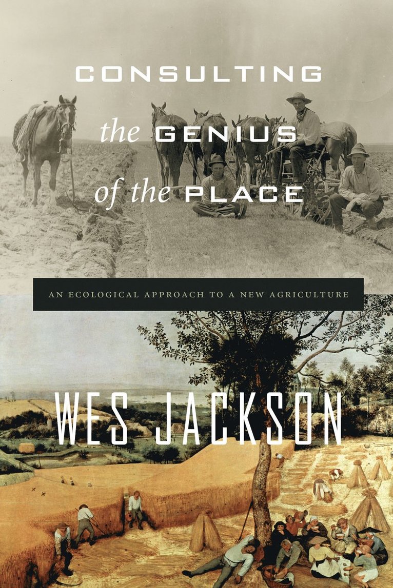 Wes Jackson - Consulting the Genius of the Place, Häftad
