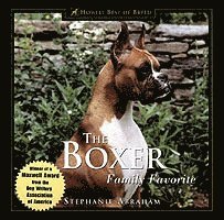 bokomslag The Boxer