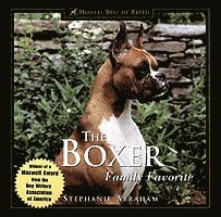 The Boxer: Family Favorite