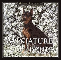 bokomslag Miniature Pinscher