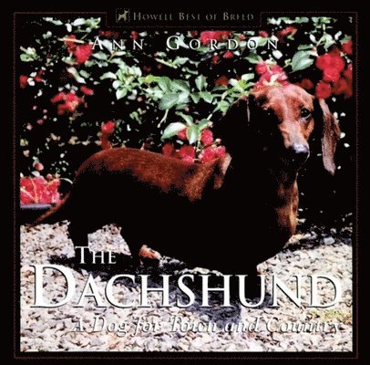 The Dachshund, The 1