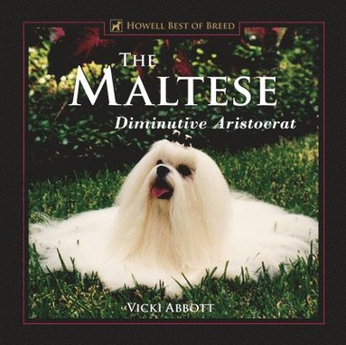 bokomslag Maltese