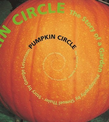 Pumpkin Circle 1