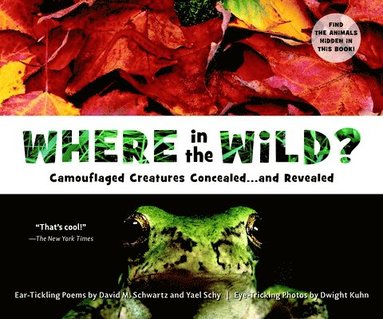 bokomslag Where in the Wild?: Camouflaged Creatures Concealed... and Revealed