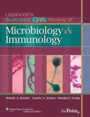 bokomslag Lippincott's Illustrated Q&A Review of Microbiology and Immunology