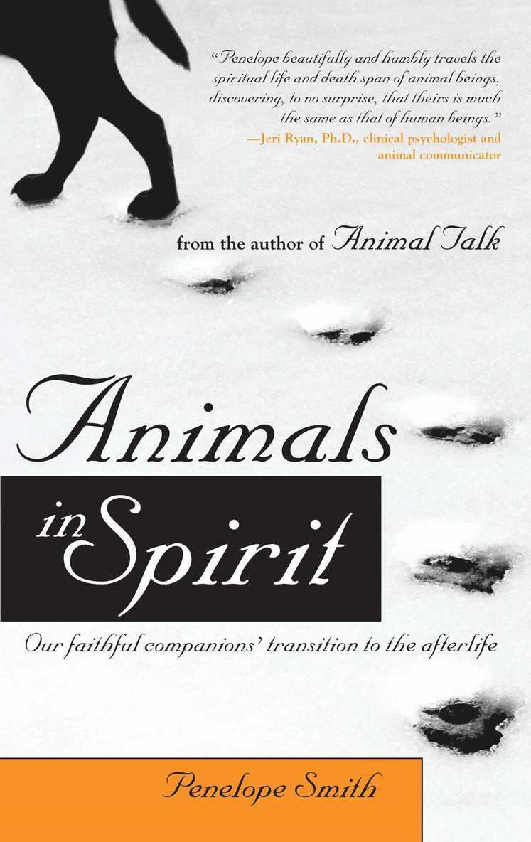 Animals in Spirit 1