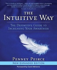bokomslag Intuitive Way