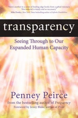 bokomslag Transparency