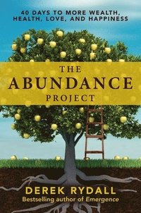 bokomslag The Abundance Project