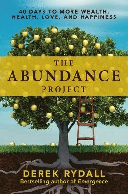Derek Rydall - Abundance Project, Häftad