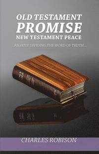 bokomslag Old Testament Promise