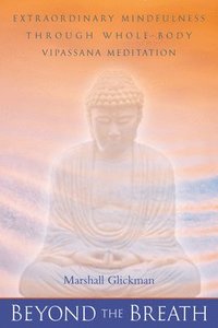 bokomslag Beyond the Breath: Extraordinary Mindfulness Through Whole Body Vipassana Yoga Meditation