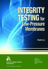 bokomslag Integrity Testing for Low-Pressure Membranes