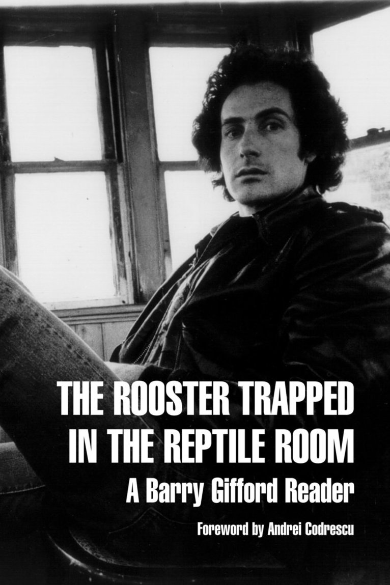 Rooster Trapped In The Reptile Room