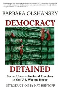 bokomslag Democracy Detained
