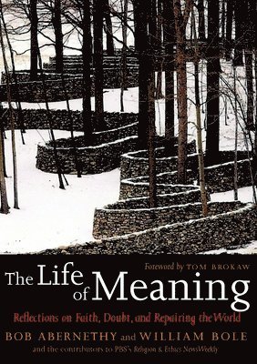 bokomslag The Life Of Meaning