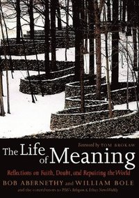 bokomslag The Life of Meaning