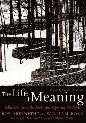 bokomslag Life of Meaning