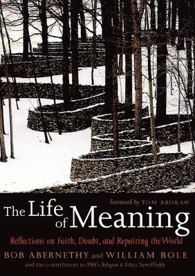 The Life of Meaning 1