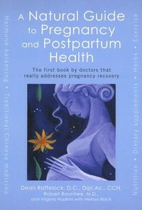 bokomslag A Natural Guide to Pregnancy and Postpartum Health
