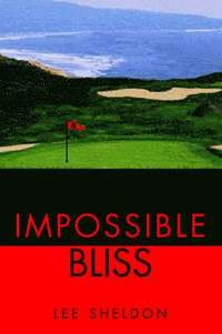 bokomslag Impossible Bliss