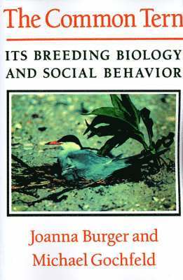 Joanna Burger, Michael Gochfield, Michael Gochfeld - Common Tern, Häftad