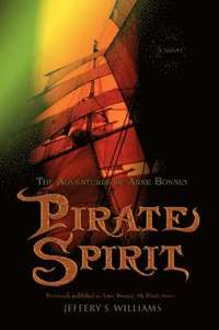 bokomslag Pirate Spirit