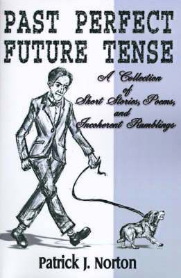 bokomslag Past Perfect Future Tense