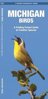 Michigan Birds: A Folding Pocket Guide to Familiar Species 1