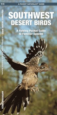 Southwestern Desert Birds 1
