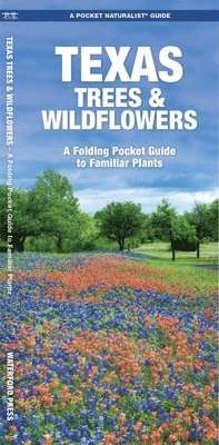 bokomslag Texas Trees & Wildflowers: A Folding Pocket Guide to Familiar Plants