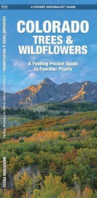 bokomslag Colorado Trees & Wildflowers: An Introduction to Familiar Species