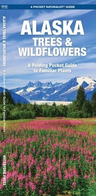bokomslag Alaska Trees & Wildflowers