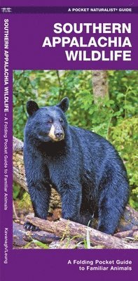 bokomslag Southern Appalachian Wildlife: An Introduction to Familiar Species