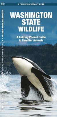 bokomslag Washington State Wildlife