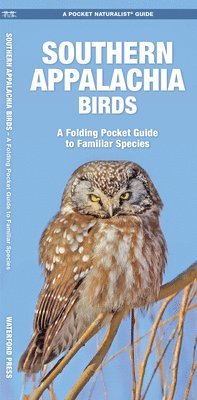 bokomslag Southern Appalachian Birds: An Introduction to Familliar Species