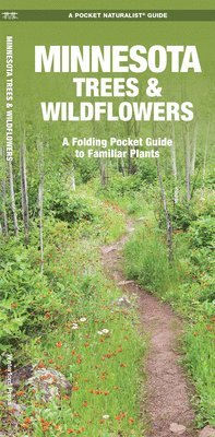 bokomslag Minnesota Trees & Wildflowers