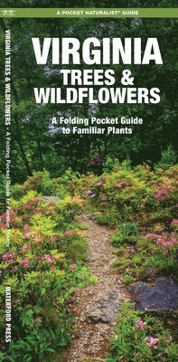 Virginia Trees & Wildflowers 1