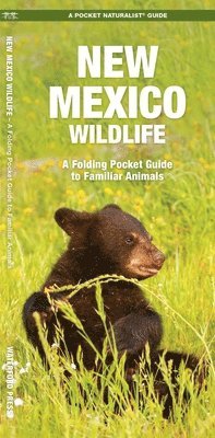New Mexico Wildlife 1