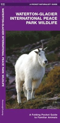bokomslag Waterton-Glacier International Peace Park Wildlife