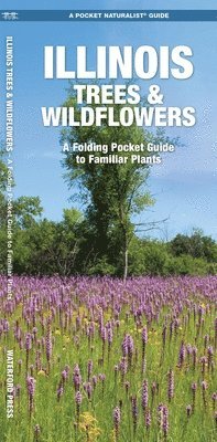 Illinois Trees & Wildflowers 1