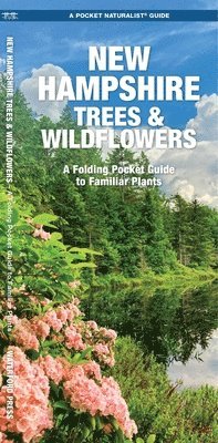 New Hampshire Trees & Wildflowers 1