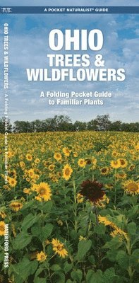 Ohio Trees & Wildflowers 1