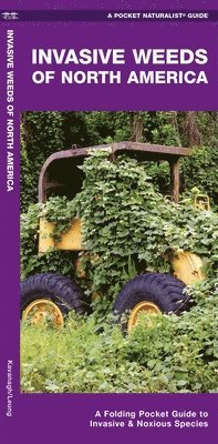 bokomslag Invasive Weeds of North America