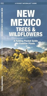 bokomslag New Mexico Trees & Wildflowers