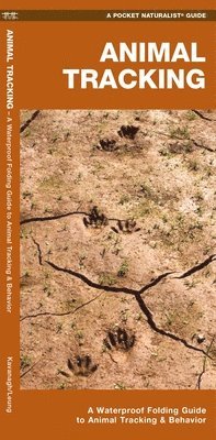 bokomslag Animal Tracking