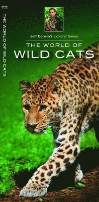 World of Wild Cats 1